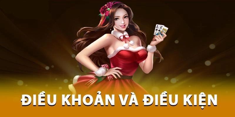 Các lợi ích mà điều khoản và điều kiện mang lại cho người dùng