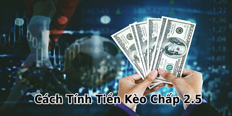 Nắm bắt quy định odds và tính tiền cược
