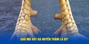 Vảy Gà Huyền Trâm BET88 - Bí Quyết Nhận Biết Vảy May Mắn