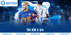 Tài Xỉu 2 3/4 Là Gì? Cách Chơi Cơ Bản Có Minh Hoạ Dễ Hiểu