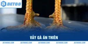 Vảy Gà Án Thiên - Cách Nhận Biết Cực Kỳ Đơn Giản